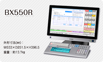 BX550R